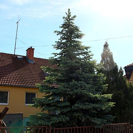 Hotel Dom Studia Petra Štúrovo Exteriér fotografie