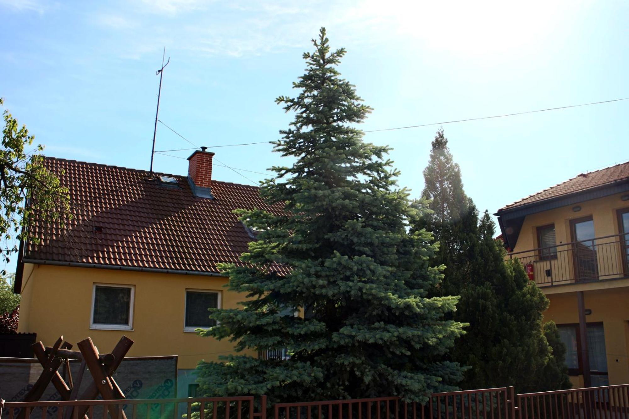 Hotel Dom Studia Petra Štúrovo Exteriér fotografie